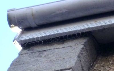 chicken wire over a gap in a roof