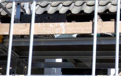 scaffolding blocking swift nests